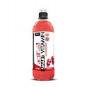 SMART VITAMIN CRANBERRY 700ML PACK 12 UD.