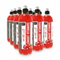 SMART VITAMIN CRANBERRY 700ML PACK 12 UD.