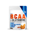 bcaa-glutamine-500-g-quamtrax-direct