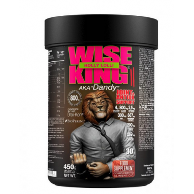 Wiseking II  Joint Support 450G (Zoomad Labs)