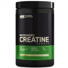 Micronized Creatine Powder 317G (Optimum Nutrition)